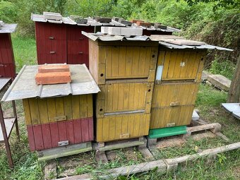 VČELÍ ÚLY - 3