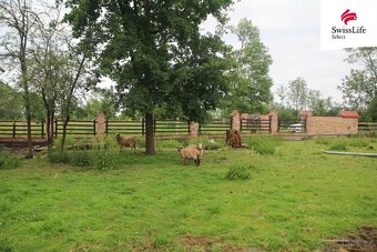 Prodej zemědělského objektu 9231 m2, Holice - 3