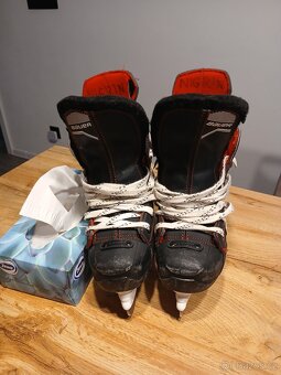 Brusle Bauer Y 13. Vel 32. - 3