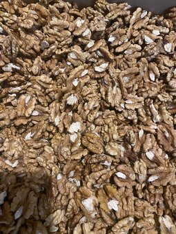 Vyloupané vlašské ořechy - 3