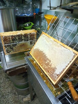 Včelí med- 2025 - 3