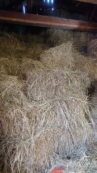 Balíky sena - 3