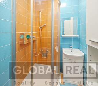 Pronájem bytu 1+1 blízko centra Jihlavy - 3