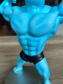 Pokemon Squirtle Muscle Edition - 3