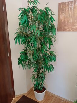 Uměle velké květiny palma,bambusy - 3