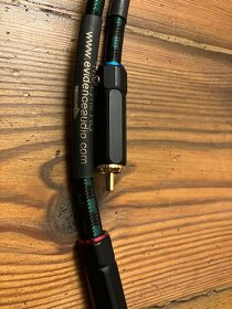 EVIDENCE AUDIO Lyric HG - 3