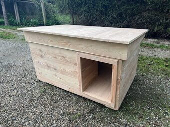 Psí bouda masivní modřin - 3