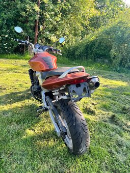 Honda Hornet CB600F - 3