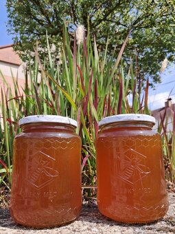 Včelí med - květový i lesní - 3