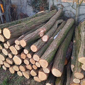 Akátové kůly - sloupky - 3