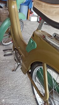 Jawetta 551 - 3
