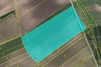 Prodej polí a vinice – 2,5 ha – Čejkovice - 3