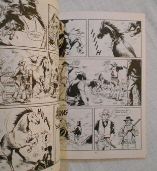 Zagor Priče iz Darkwooda 2 Vjetar prerije - 2021 - 3