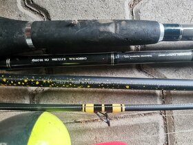 Kaprarina, sumcarina, privlac, fidr - 3