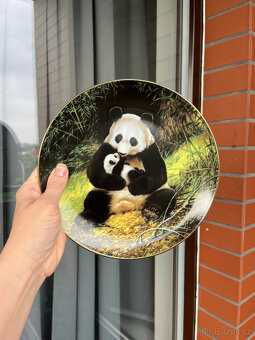 Sběratelský dekorační talíř Panda 21.5 cm, Will Nelson - 3
