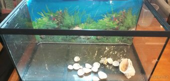 Akvárium box 60 x 30 x 30 - 54 l - 3