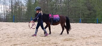 Shetty sedlo, podsedlová dečka, madla - 3