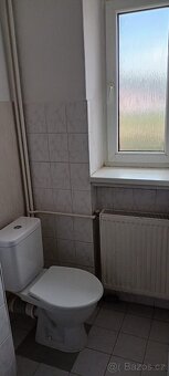 Pronajmu byt 2+kk v Zábřehu - 3