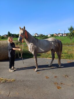 QH - 3