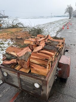 Krbové dřevo-Hruška - 3