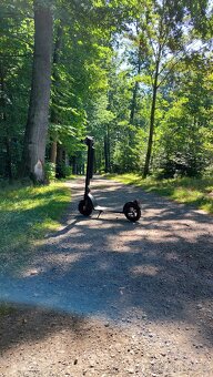 Bohman Go Plus Red 350 - 3