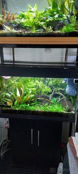 Prodám stojan se 2 akva Juwel Rio 125l a 2x OASE 250 filtr - 3