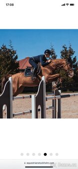 Equestrian Stockholm Royal Classic - 3