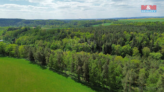 Prodej lesa, 79857 m², Černýšovice - 3