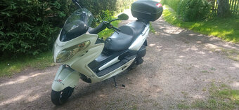 Kentoya Adonis 125ccm - 3