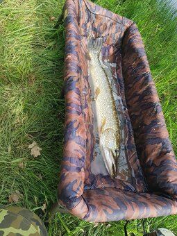 Candat štika okoun - 3