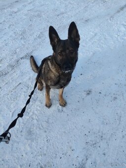 Do dobrých rukou - 3