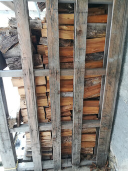 Listnaté dřevo - 3