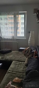 Pronájem udržovaného bytu 2+1 50m2 - 3