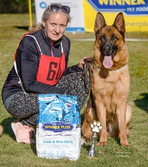 Německý ovčák - štěňata k prodeji s PP - 3