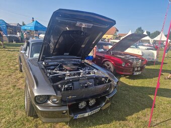 ELEANOR Shelby GT500 V8 - 3