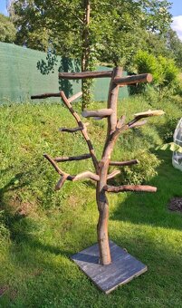 Nepoužitý strom pro velké papoušky - 3