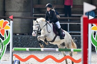 Pony valach kat. A - 3
