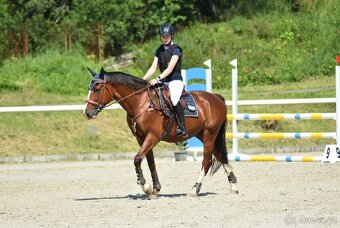 Wpbr valach - 3