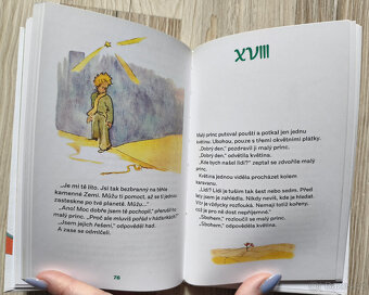 Antoine de Saint-Exupéry - Malý princ - 3