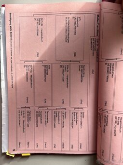 Oldenburská klisna - 3