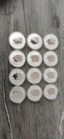 Kompletná sada Austrália LUNAR II (12x 1 oz Ag 999) - 3