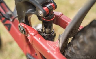 2019 PROPAIN TYEE AL HIGHEND - 3