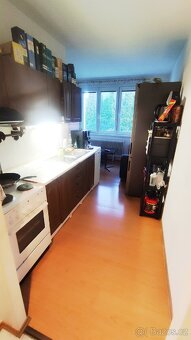 Byt 1+1 36m2 se zahradou a garáží - 3