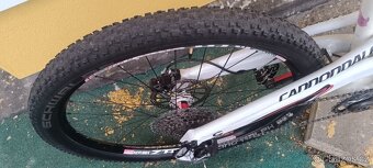 Cannondale Rush sl Carbon, Lefty - 3