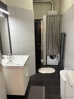 Pronájem bytu 2+1, Žižkov, se zahrádkou - 3
