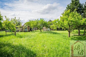 Prodej stavebního pozemku 2.194 m2, obec Němčice, okres Mlad - 3