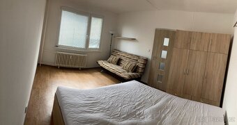 Pronájem bytu 1+1kk Janske Lazne - 3