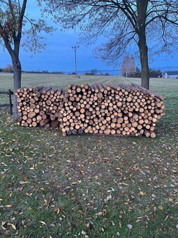 Prodám palivové dřevo - 3