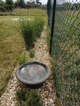 Pronájem zahrady - 3