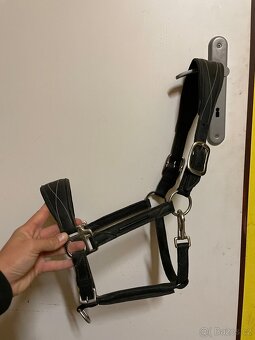 Ohlávka, přepravní kamaše, podřišníky, schockemöhle,.. - 3